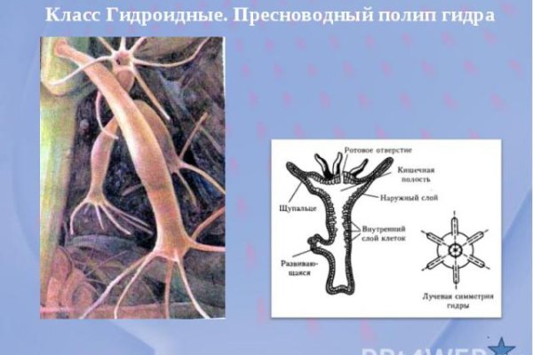 Кракен маркет только через тор