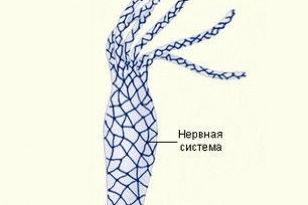 Кракен телеграмм магазин