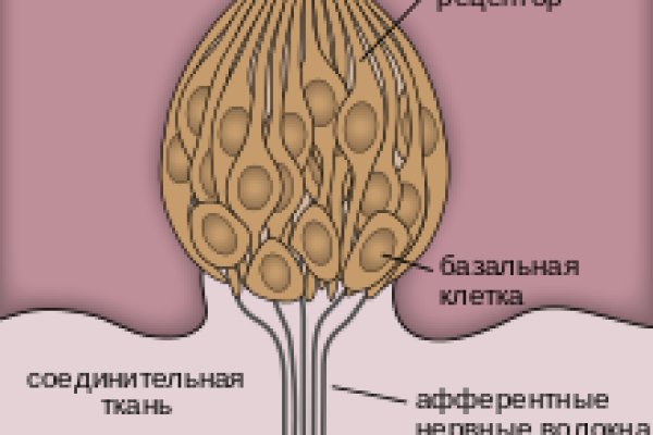Кракен шоп это