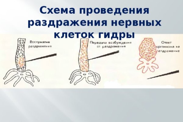 Ссылка в магазин на кракен