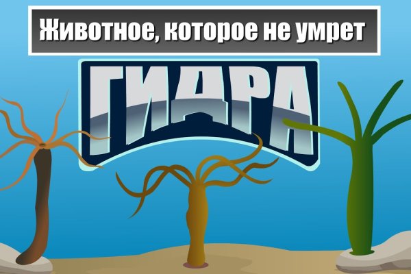 Кракен бошки