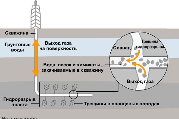 Кракен сообщество