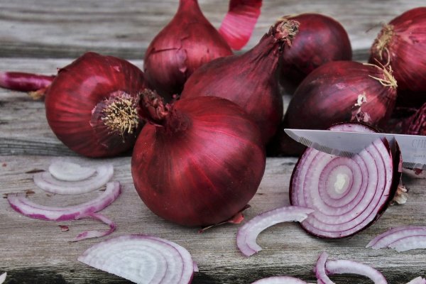 Kraken рабочее зеркало onion