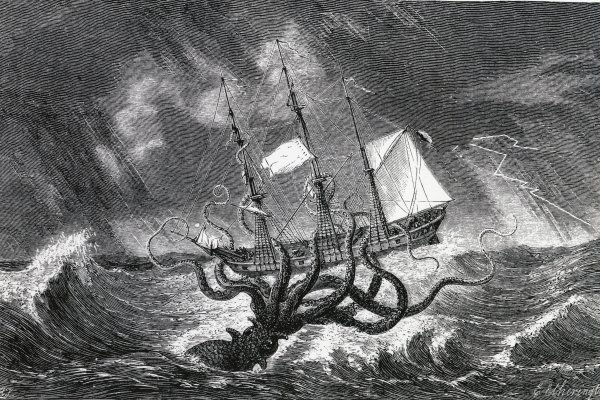 Kraken market3